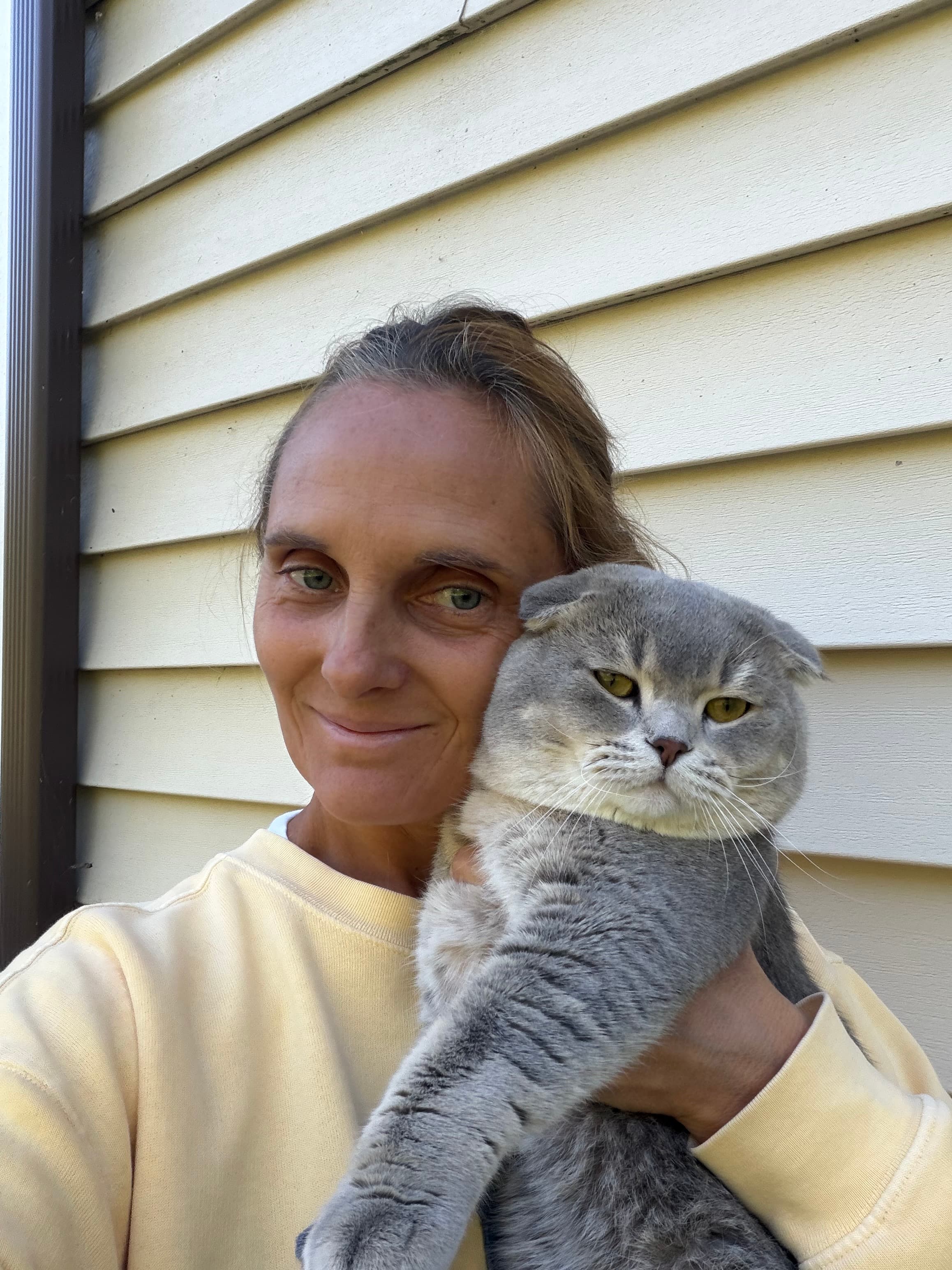 Kittenterapia_minnesota, a verified home cattery