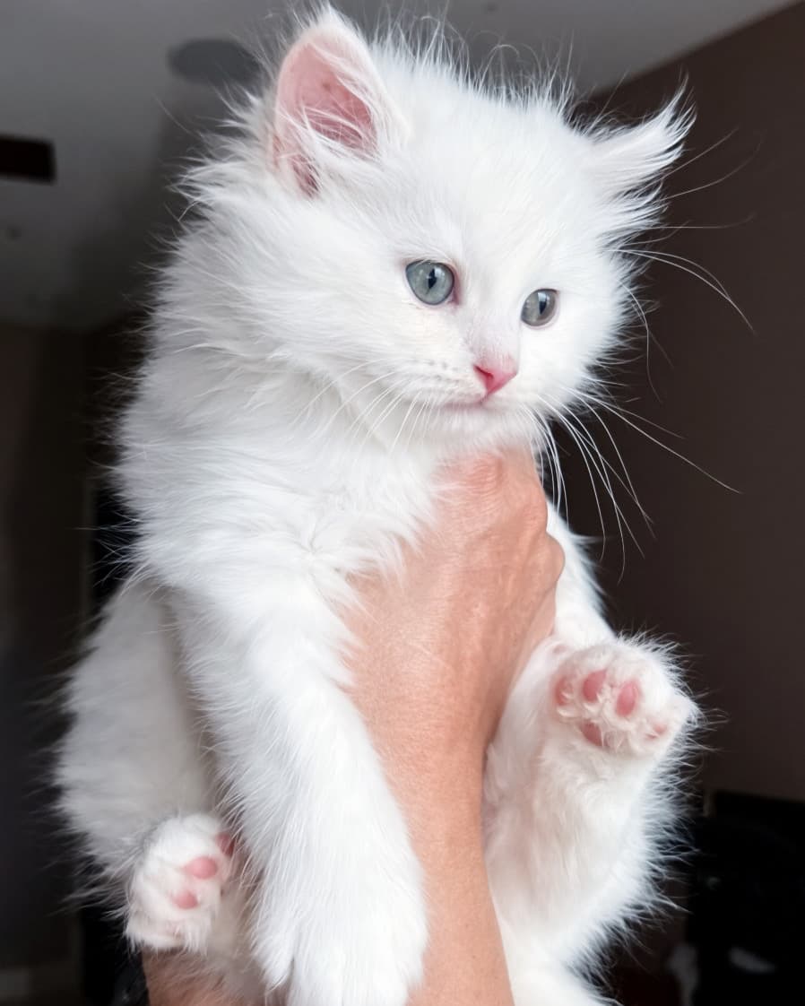 Jim