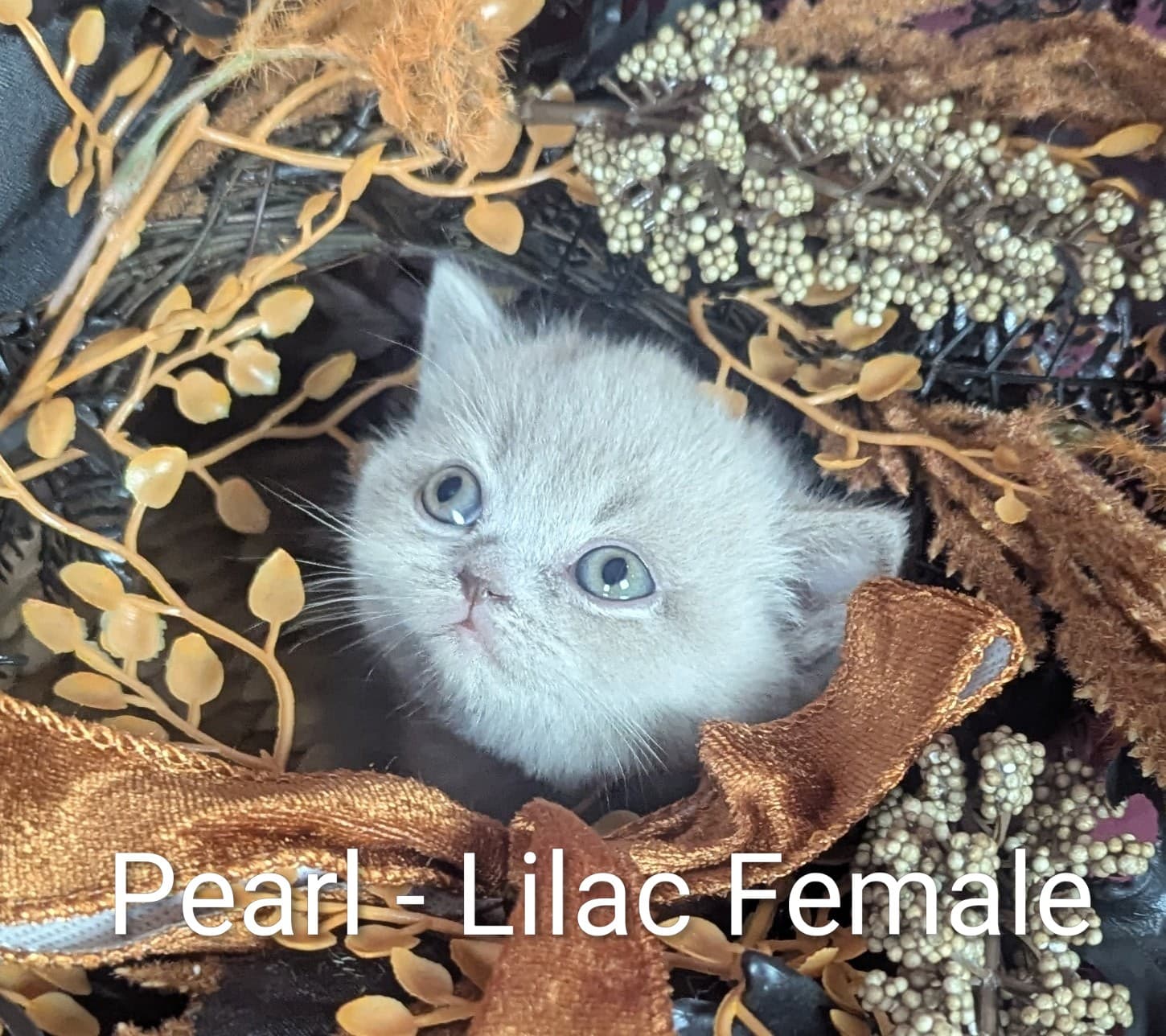 Pearl