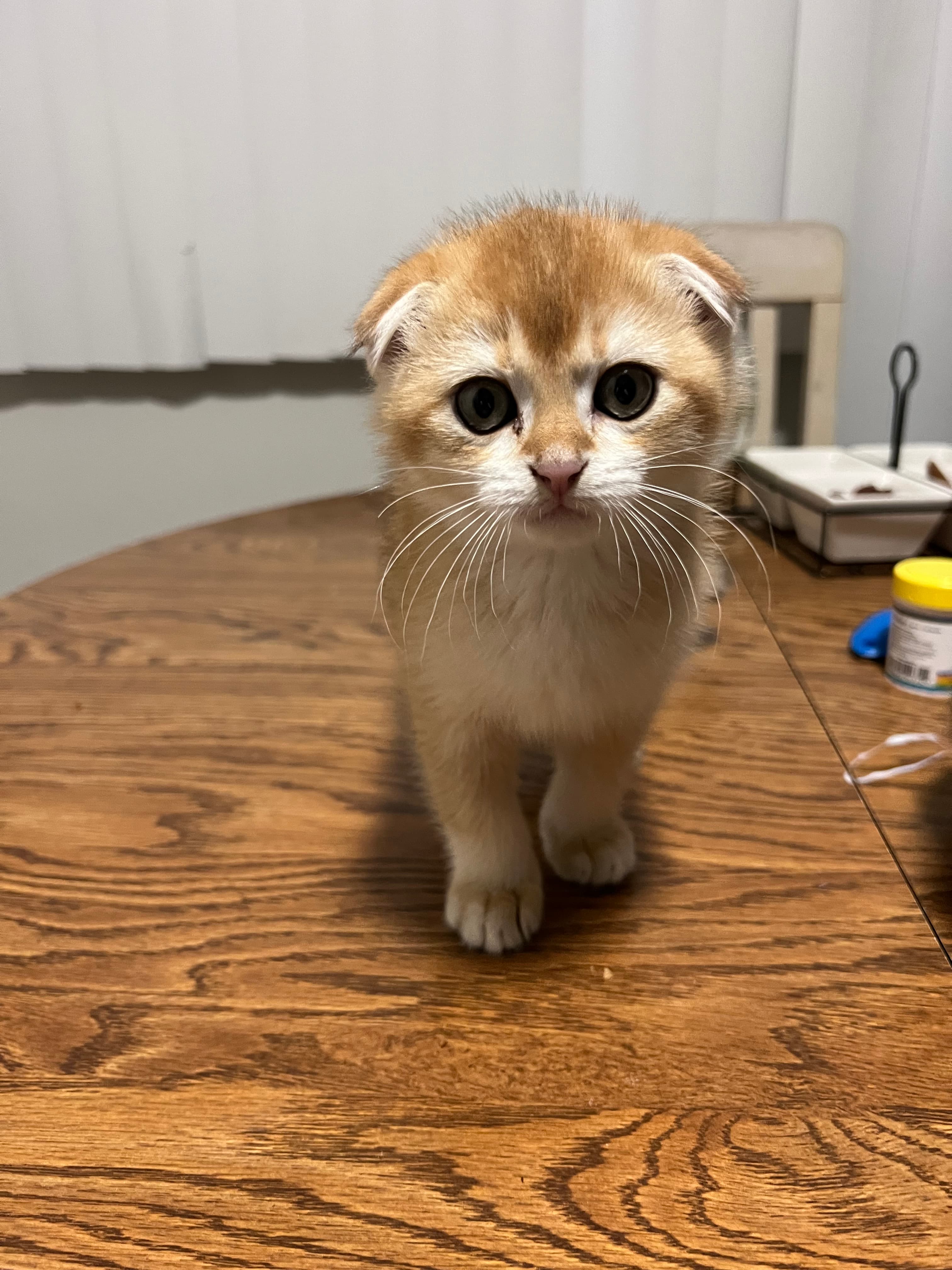 Ben