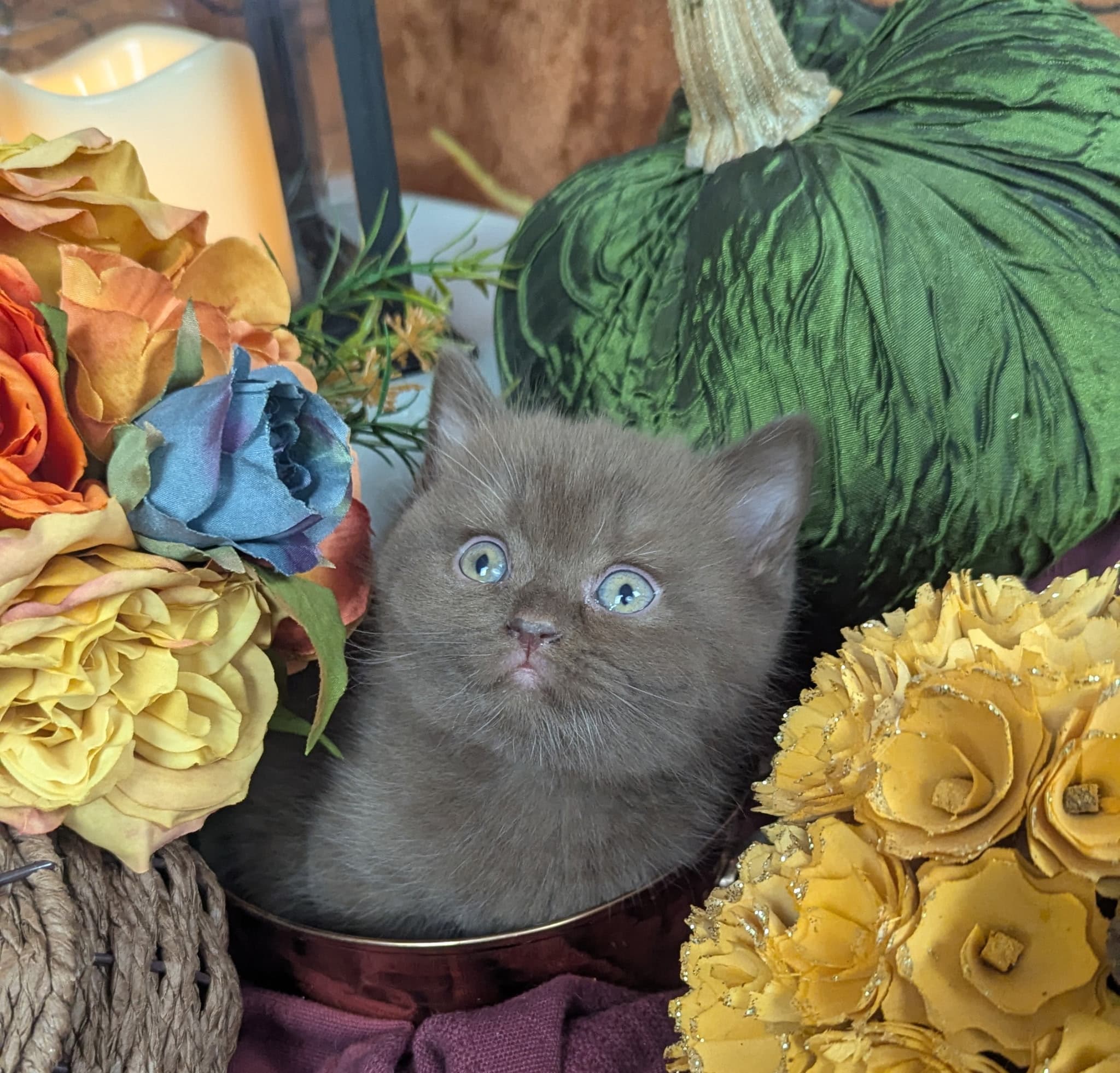 Winston